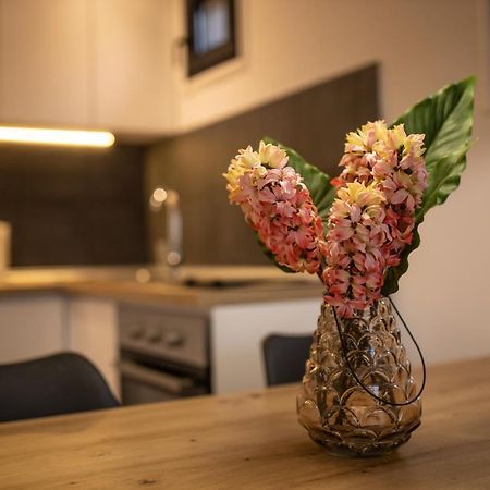 Vista Durmitor - Luxury Cabin Žabljak Eksteriør bilde